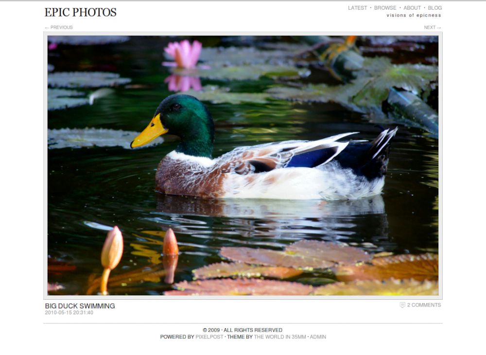 Website Portfolio 19 epicphotos website