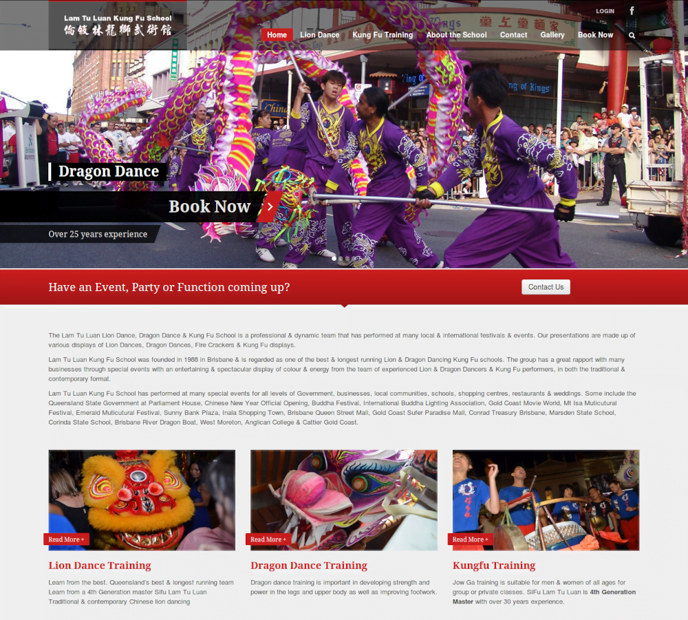 Website Portfolio 17 kungfu website